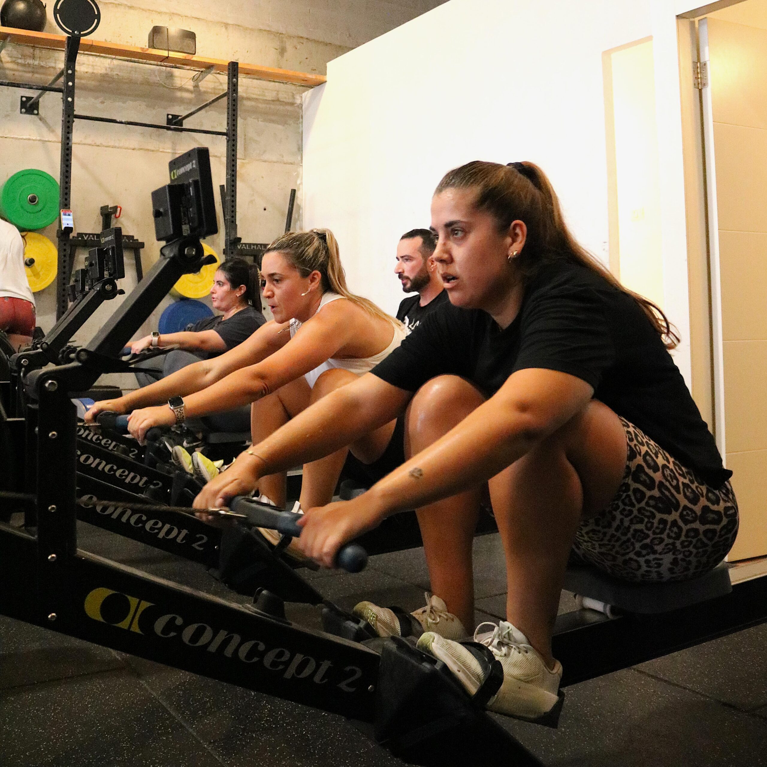 FORTE CrossFit gym floor